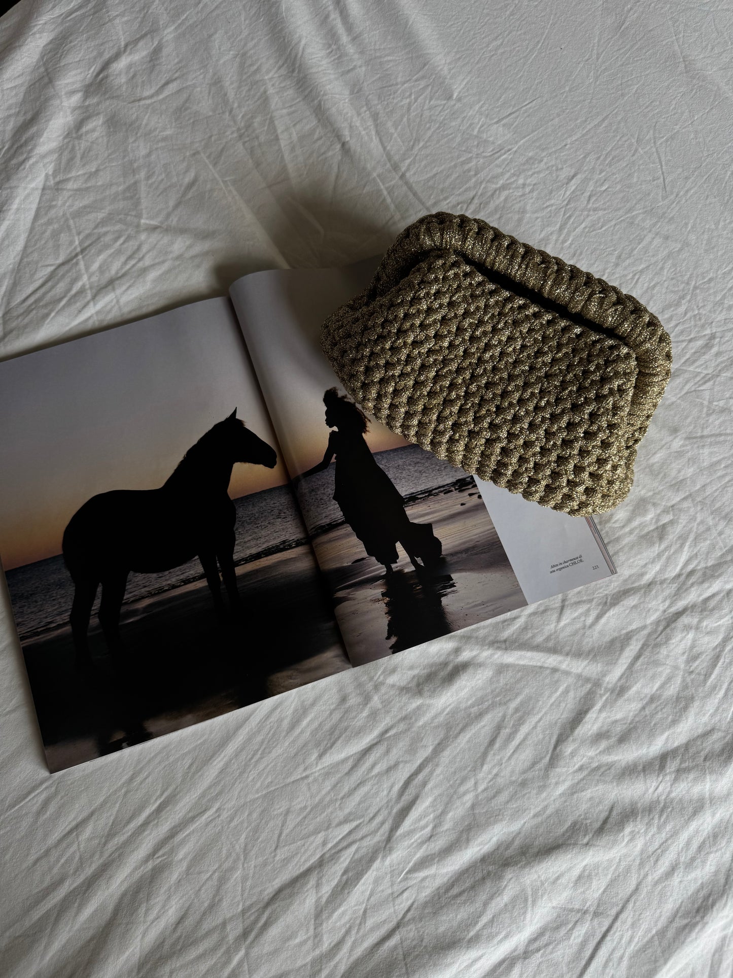 CLOUD bag standard// oro lurex con manico