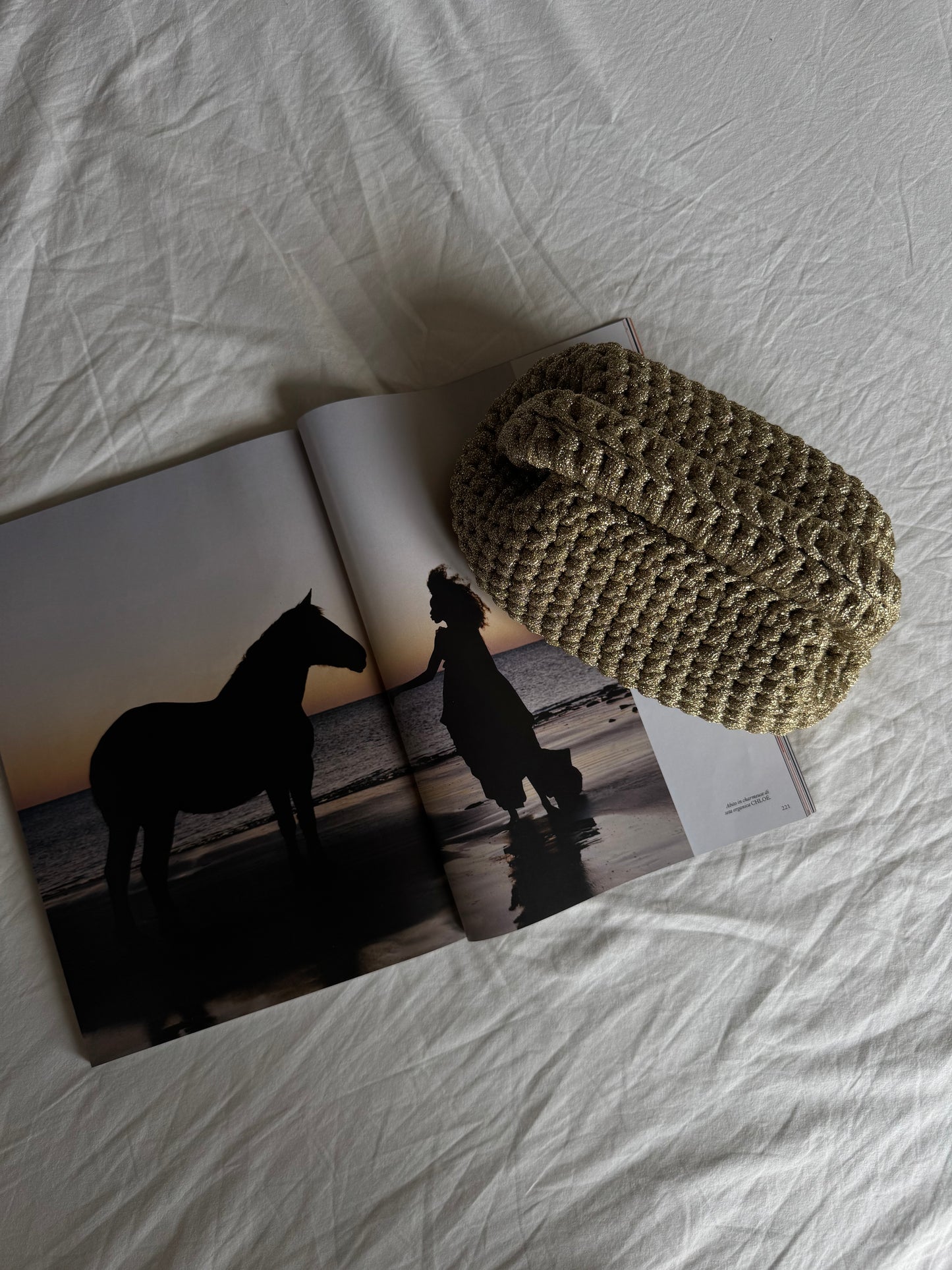 CLOUD bag standard// oro lurex con manico
